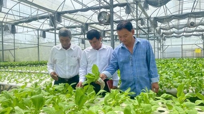 فعالية النماذج التجريبية الزراعية عالية التقنية