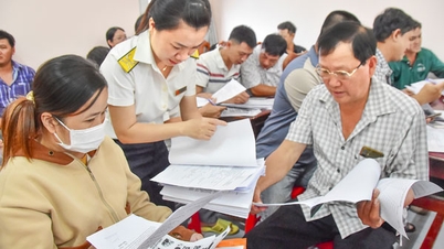 세무 행정의 새로운 단계 활성화