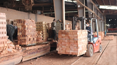 Снижение арендной платы за землю: больше инвестиционных ресурсов для производства и бизнеса