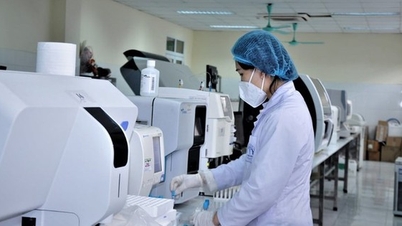 Promowanie transformacji cyfrowej w organizacjach naukowych i technologicznych