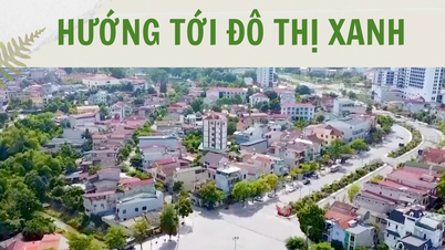 มุ่งสู่เมืองสีเขียว