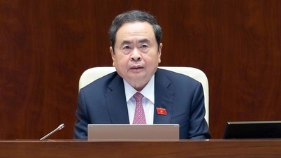 হো চি মিন সিটি এবং দা নাং-এর উন্নয়নের জন্য বিশেষ ব্যবস্থা সংশোধন এবং পরিপূরক করার জন্য জাতীয় পরিষদে জমা দিন।