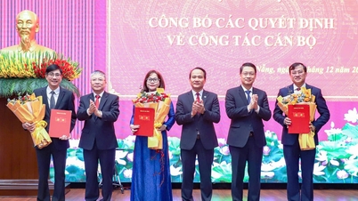 A primeira presidente mulher da zona especial de Hoang Sa.