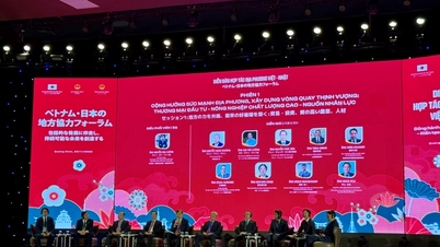 משלחת ממחוז לאנג סון השתתפה בפורום שיתוף הפעולה המקומי בין וייטנאם ליפן 2025