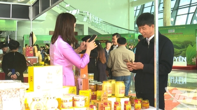 Розробка продуктів OCOP: Розкриття сутності, поширення ідентичності