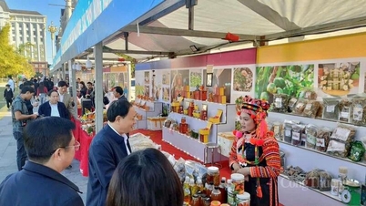 लाई चाऊ पर्यटन - संस्कृति सप्ताह 2025 में कृषि उत्पादों की खपत में तेज़ी से वृद्धि हुई