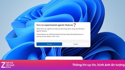 مایکروسافت ریسک می‌کند