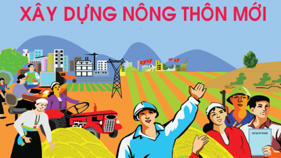 وزارة الزراعة والبيئة تقدم خطة تنفيذ برنامج الهدف الوطني للبناء الريفي الجديد للفترة 2025-2030