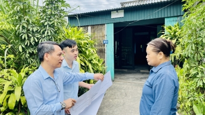 Кампанія з очищення земельних даних – Сила солідарності та єдності