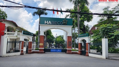 Το Εργοστάσιο Μπύρας του Ανόι και μια σειρά από «μεγάλους» που πρόκειται να μετακομίσουν από το κέντρο της πόλης