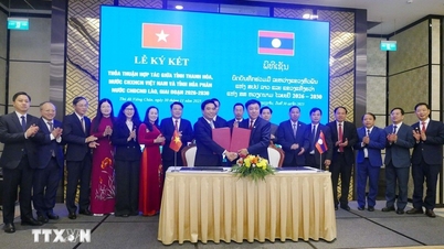 थान होआ - होउआफ़ान्ह: प्रमुख क्षेत्रों में व्यापक सहयोग