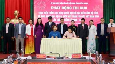 صوبائی فادر لینڈ فرنٹ کمیٹی نے کانگریس کی قرارداد کو کامیابی کے ساتھ نافذ کرنے کے لیے ایمولیشن تحریک کا آغاز کیا۔