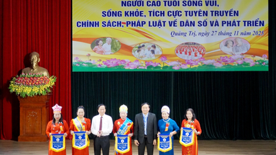 জনসংখ্যা এবং উন্নয়নমূলক কাজে ভিন লিন প্রবীণরা উজ্জ্বল