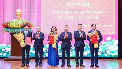 دانانگ بسیاری از مقامات کلیدی را منصوب، بسیج و منصوب می‌کند