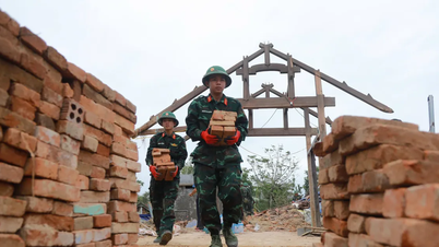 দক্ষিণ-মধ্য প্রদেশ: শিক্ষার্থীদের স্কুলে ফিরিয়ে আনার প্রচেষ্টা, ঘরবাড়ি পুনর্নির্মাণ