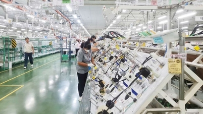 Quang Ninh planerar att avstå från arbetstillståndsavgifter för utlänningar