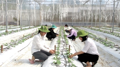 Giáo dục ưu tiên đào tạo các ngành đang 'khát' nhân lực chất lượng cao