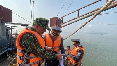 タンホア省は持続可能な漁業を構築するために多くのソリューションを同期的に展開しています