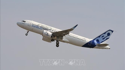 A320 বিমানের সফ্টওয়্যার সংশোধনের নতুন বিবরণ