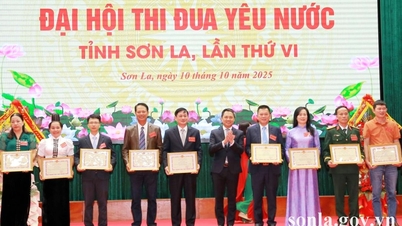 Son La는 새로운 기간 동안 에뮬레이션 및 보상 작업을 구현하는 데 있어 리더십과 방향을 강화합니다.