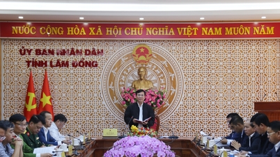 ল্যাম ডং ১৫ জানুয়ারী, ২০২৬ এর আগে "কোয়াং ট্রুং অভিযান" সম্পন্ন করার জন্য দৃঢ়প্রতিজ্ঞ