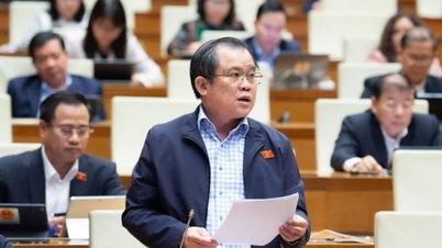 国会、希土類の管理を議論、国家安全保障を最優先