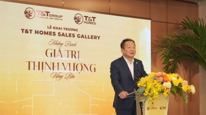 T&T Homes расширяет присутствие на юге страны, открывая новую галерею продаж