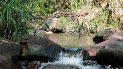 Suoi Tien Phu Quoc: اكتشف الجمال البري المخفي