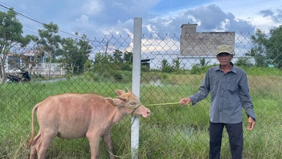आजीविका सहायता के माध्यम से आजीविका में सुधार