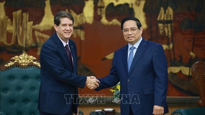 لاطینی امریکی خبر رساں ایجنسی (کیوبا) کے صدر کی وزیراعظم سے ملاقات