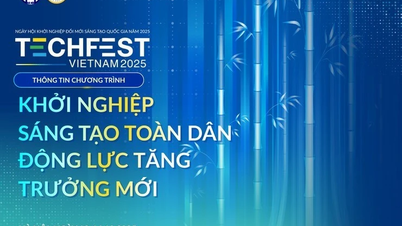 Що нового на Національному фестивалі креативних стартапів - Techfest 2025?