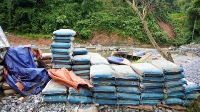 এনঘে আন 'স্থগিত' সরকারি বিনিয়োগ প্রকল্পগুলি পুঙ্খানুপুঙ্খভাবে পরিচালনা করেন