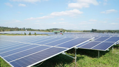 Lam Dong promotes attracting investment in processing and renewable energy projects