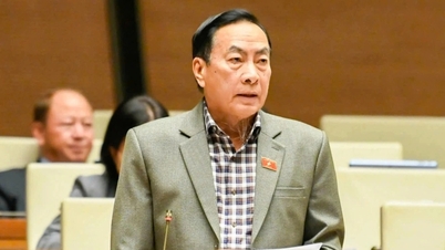 "লাইসেন্স পদ্ধতি ছাড়াই জরুরি খনিজ উত্তোলন" বিবেচনা করুন