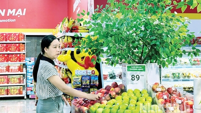 Focus on implementing solutions to develop the domestic market in the last months of the year