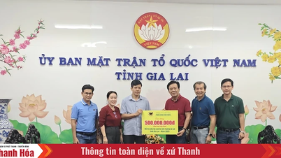 A „Binh Dien szeretetének” útja: A Thanh Hoa megélhetési csomagjától a Közép-felföld árvíz sújtotta területein élőknek nyújtott sürgősségi támogatásig