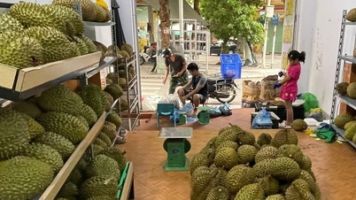 Durianpris idag 1 december 2025: Exporten ökar kraftigt