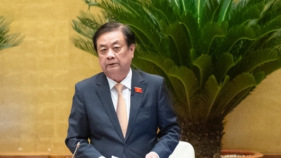 যেসব এলাকায় খনিজ উত্তোলনের অধিকার নিলামে তোলা হয় না, তার তালিকা প্রকাশ করা প্রয়োজন।