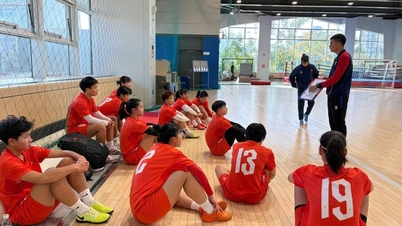 フットサルと「黄金の夢」