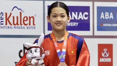 Появится ли у вьетнамских пловцов «новая Ань Вьен» на Играх Юго-Восточной Азии 33?