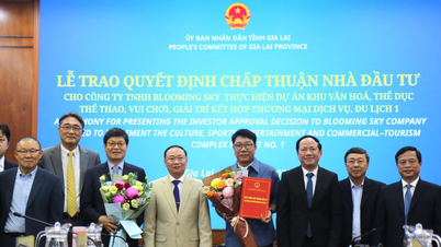 Gia Lai atrai 5 novos projetos, com um capital de investimento total registrado superior a 2,834 bilhões de VND.