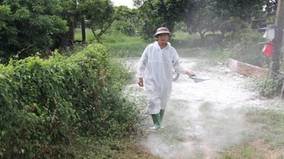 Bac Ninh verschärft die Maßnahmen zur Krankheitsvorbeugung bei Nutz- und Geflügeltieren.