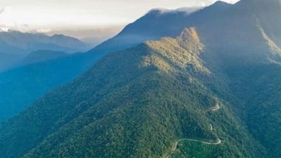 Исследование эволюции магмы в Труонг Шоне: научная основа для ориентации в разведке полезных ископаемых