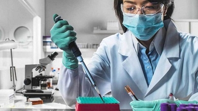 Bước tiến mới của khoa học vật liệu y sinh Việt Nam