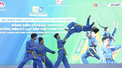Cidade de Ho Chi Minh: Número inédito de alunos praticando juntos a arte marcial Vovinam.