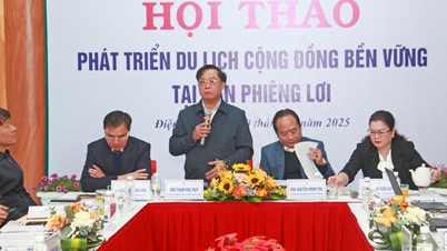 یافتن راه‌حل‌هایی برای توسعه پایدار گردشگری اجتماعی در روستای فینگ لوی، استان دین بین