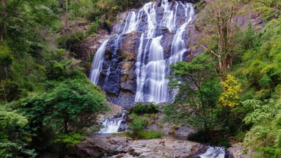 Καταρράκτης Chapor: Ανακαλύψτε τον μυστηριώδη «ιπτάμενο καταρράκτη» στο Ninh Thuan