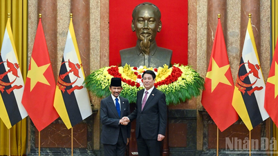 [រូបថត] ប្រធានរដ្ឋ Luong Cuong ជួបពិភាក្សាជាមួយស្តេចស៊ុលតង់នៃប្រទេសប្រ៊ុយណេ Darussalam Haji Hassanal Bolkiah