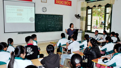 Expected professional standards for teachers of continuing education institutions