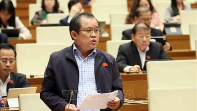 Hatékony kiaknázás és kezelés, a ritkaföldfémek védelmét célzó politikákkal